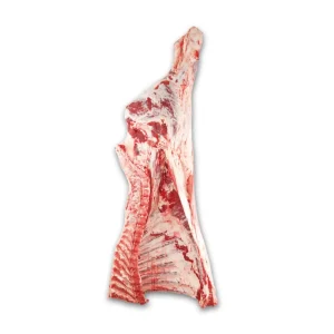 Whole Class A Beef Hindquarter